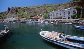 assos.jpg